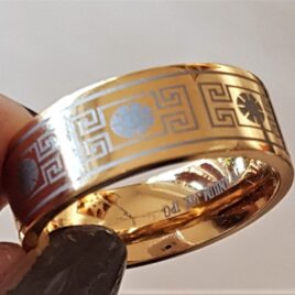 Titanium Ring m. 18 Karat Guld.